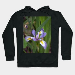 Blue Flag Iris Hoodie